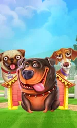 The Dog House